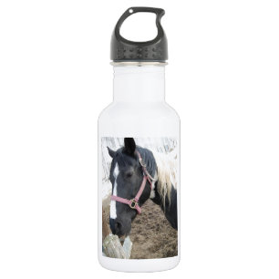 Paint Pinto Pferd Trinkflasche