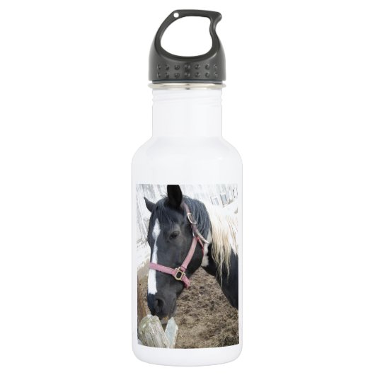 Paint Pinto Pferd Trinkflasche (Vorderseite)
