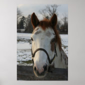 Paint Poster (Vorne)