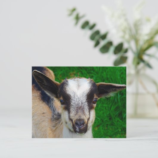 Paint Postkarte (Stehend Vorderseite)