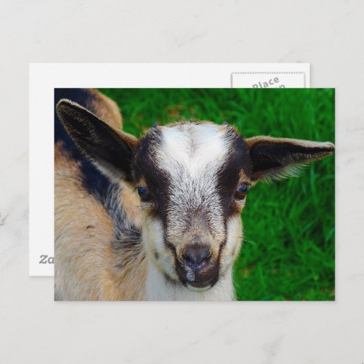 Paint Postkarte (Vorne/Hinten)