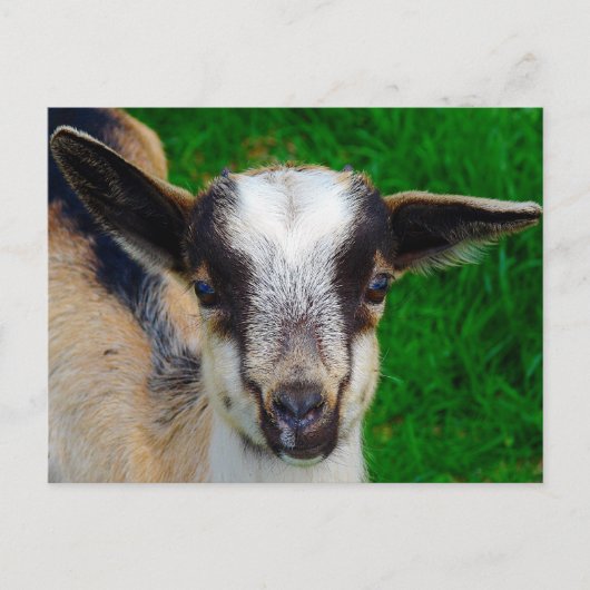 Paint Postkarte (Vorderseite)