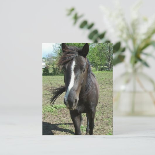 Paint Postkarte (Stehend Vorderseite)