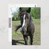 Paint Postkarte (Vorne/Hinten)