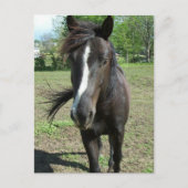 Paint Postkarte (Vorderseite)