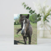 Paint Postkarte (Stehend Vorderseite)