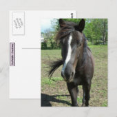 Paint Postkarte (Vorne/Hinten)