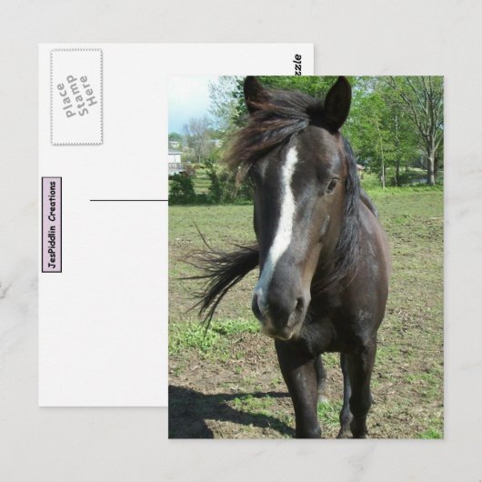 Paint Postkarte (Vorne/Hinten)