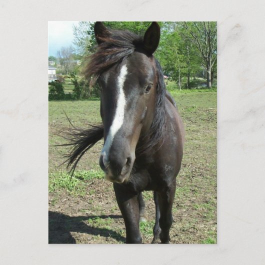 Paint Postkarte (Vorderseite)