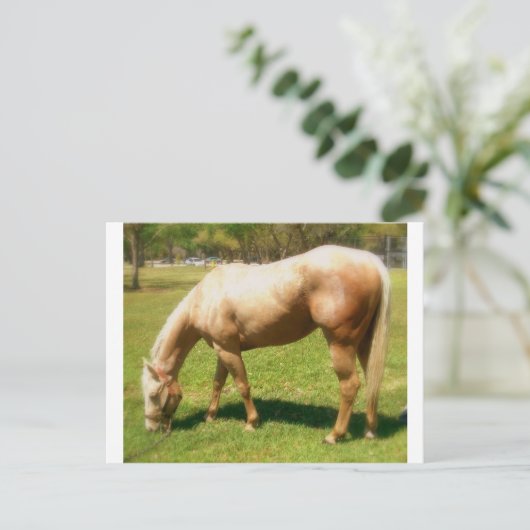 Paint Postkarte (Stehend Vorderseite)