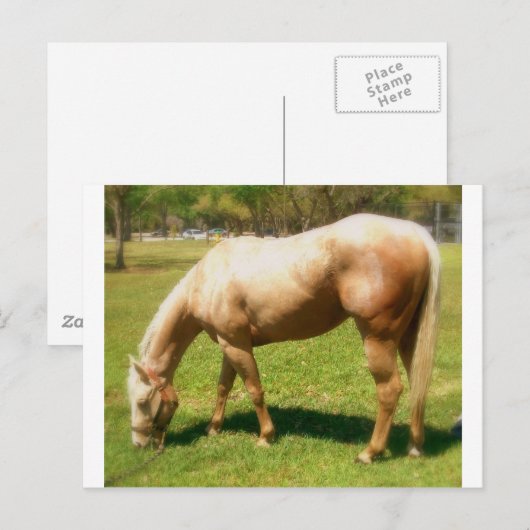 Paint Postkarte (Vorne/Hinten)