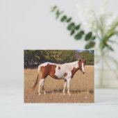 Paint Postkarte (Stehend Vorderseite)