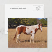 Paint Postkarte (Vorne/Hinten)