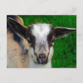 Paint Postkarte (Vorderseite)