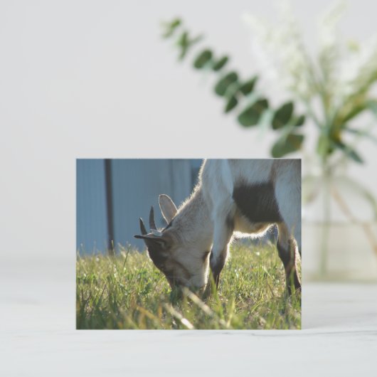 Paint Postkarte (Stehend Vorderseite)