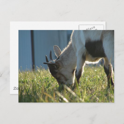 Paint Postkarte (Vorne/Hinten)