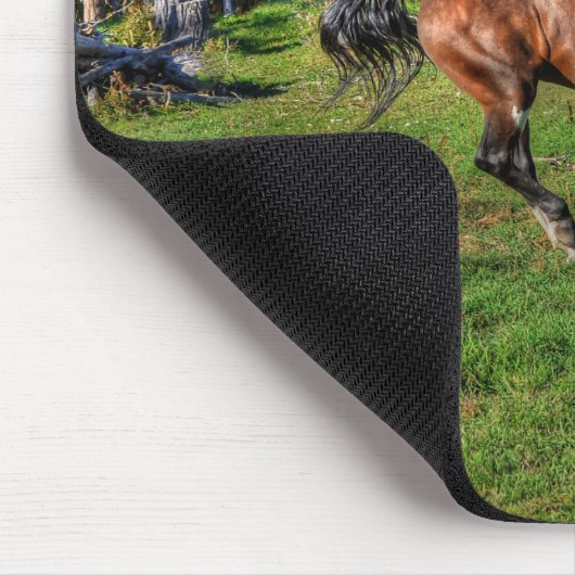 Paint Stallion & Forest Equine Foto Mousepad (Ecke)