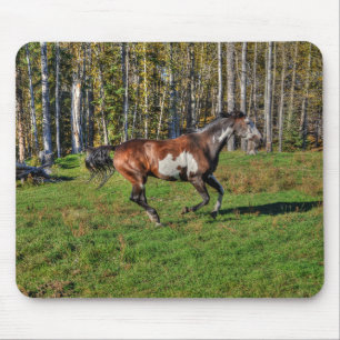 Paint Stallion & Forest Equine Foto Mousepad