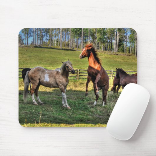 Paint Stallion & Sorrel Mare Equine Foto Mousepad (Mit Mouse)