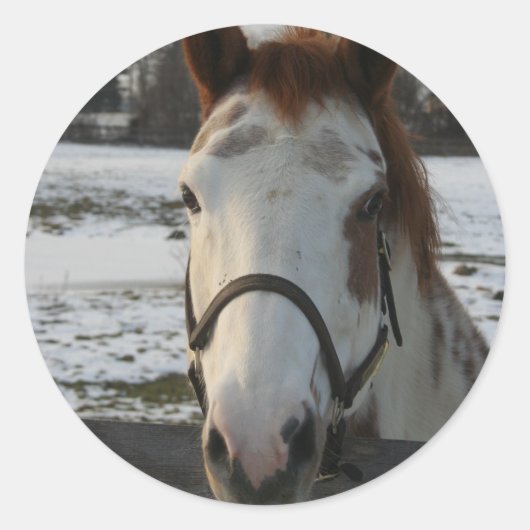 Paint Sticker (Vorderseite)