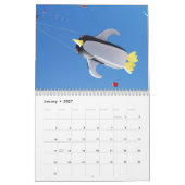Paint the Sky Kite Kalender (Jan 2027)