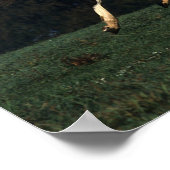 Paint Yearlings Running Poster (Ecke)