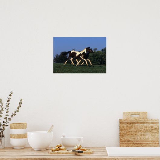 Paint Yearlings Running Poster (Küche)