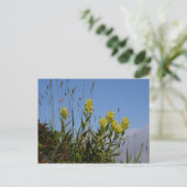 Paintbrush, Insel Unalaska Postkarte (Stehend Vorderseite)