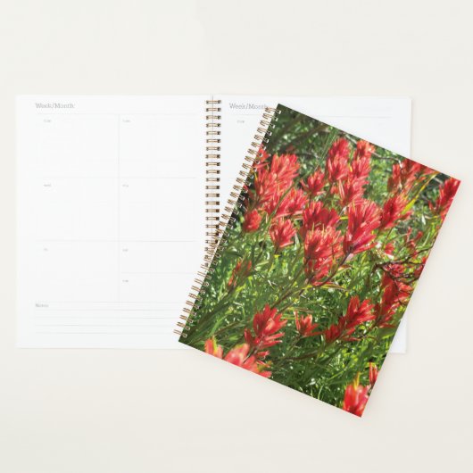 Paintbrush Planner Planer (Anzeige)
