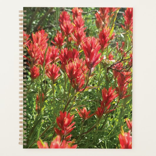 Paintbrush Planner Planer (Vorderseite)