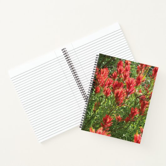 Paintbrush Spiral Notebook Notizblock (Innenseite)