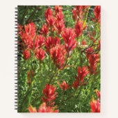 Paintbrush Spiral Notebook Notizblock (Vorderseite)