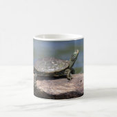 Painte Turtle an einem sonnigen Tag Kaffeetasse (Mittel)