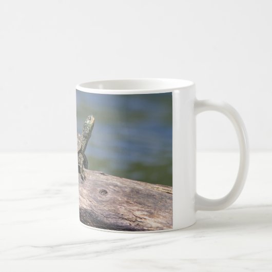 Painte Turtle an einem sonnigen Tag Kaffeetasse (Rechts)