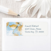 Painted Beach Coastal Willet Bird (Insitu)