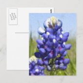 "Painted" Bluebonnet Postkarte (Vorne/Hinten)