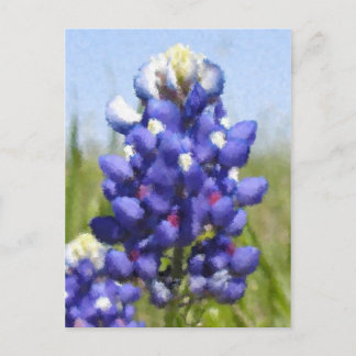 "Painted" Bluebonnet Postkarte