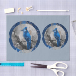 Painted bluejay DBL Seidenpapier