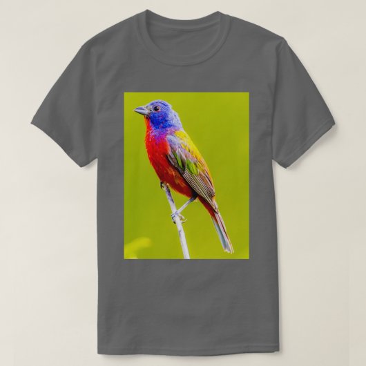 Painted Bunting 1 T-Shirt (Design vorne)