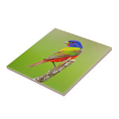 Painted Bunting Fliese (Seite)