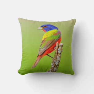 Painted Bunting Kissen