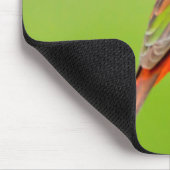 Painted Bunting Mousepad (Ecke)