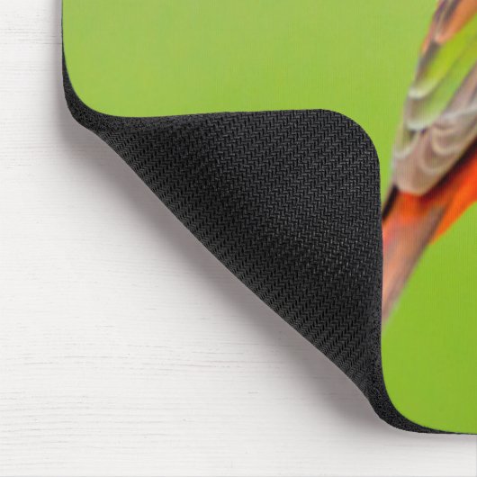 Painted Bunting Mousepad (Ecke)