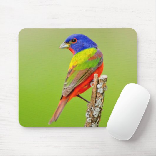 Painted Bunting Mousepad (Mit Mouse)