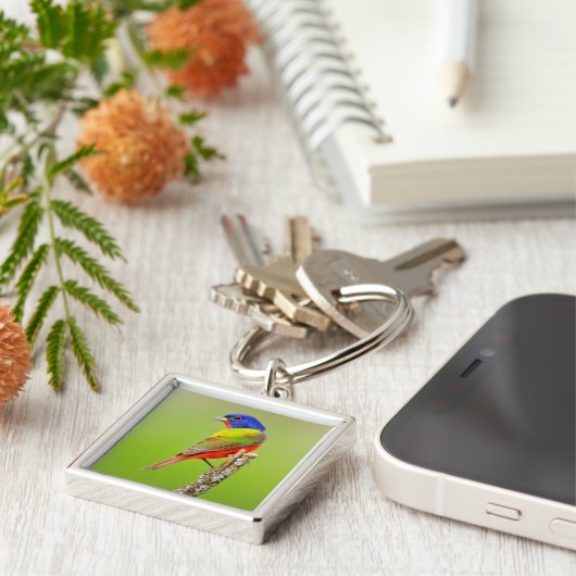 Painted Bunting Schlüsselanhänger (Seite)