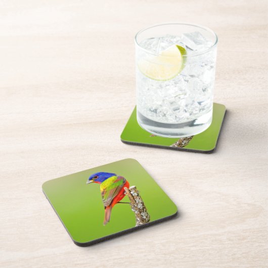 Painted Bunting Untersetzer (Rechte Seite)