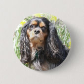 Painted Cavalier King Charles Spaniel Button (Vorderseite)