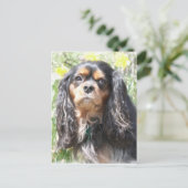 Painted Cavalier King Charles Spaniel Postkarte (Stehend Vorderseite)