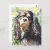 Painted Cavalier King Charles Spaniel Postkarte (Vorne/Hinten)