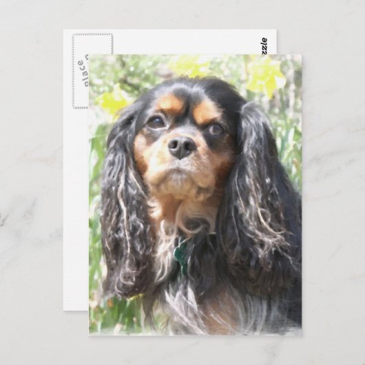 Painted Cavalier King Charles Spaniel Postkarte (Vorne/Hinten)